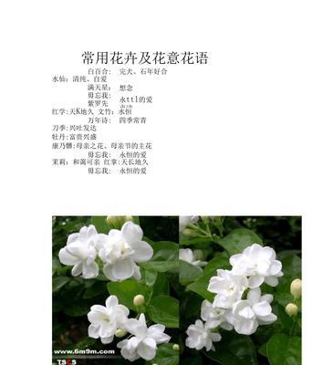 蒲公英花语与寓意（探寻蒲公英花语的神秘力量与美好寓意）