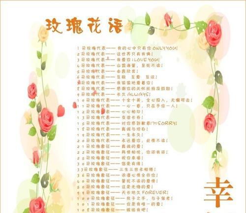 火花兰花语（从火花兰花语看世界的美好）