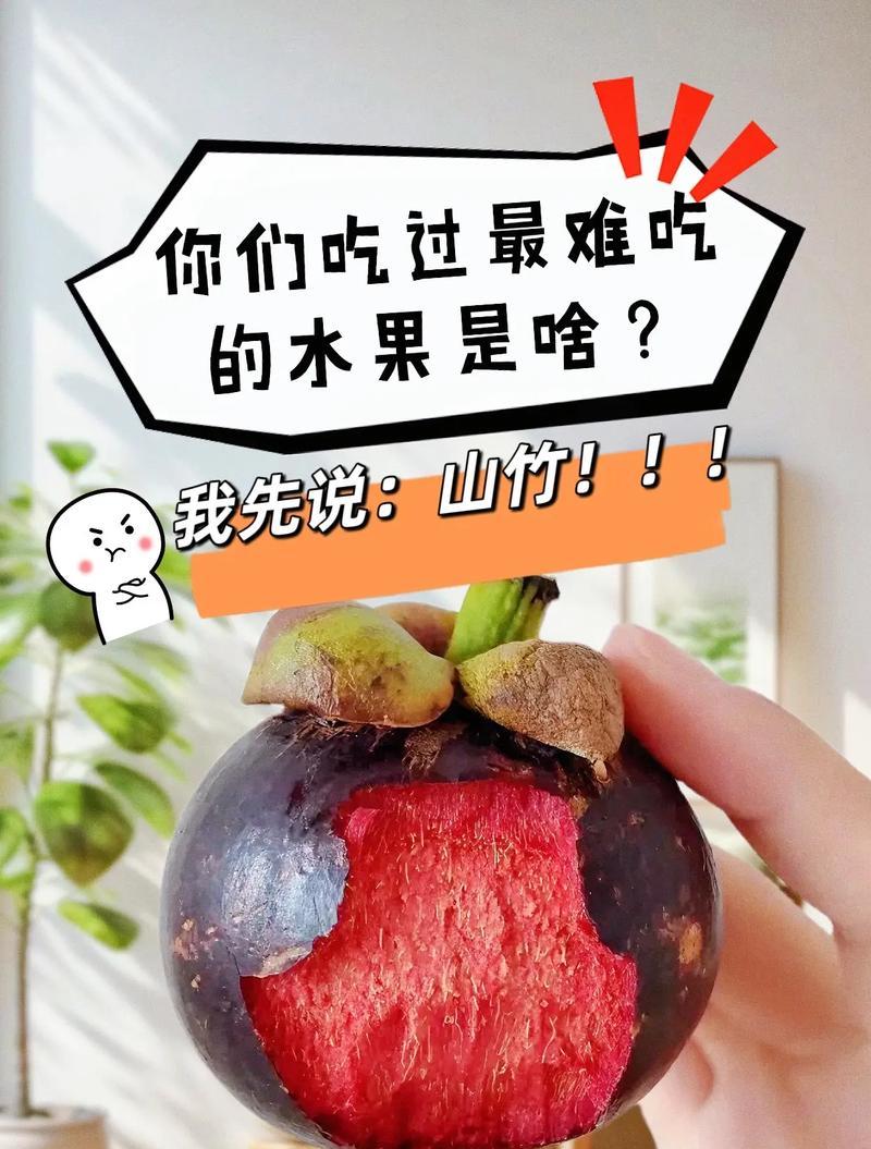 家居风水：种山竹吉利还是凶煞？