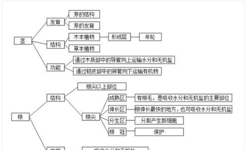 尖椒的生长周期（从种子到成熟果实）