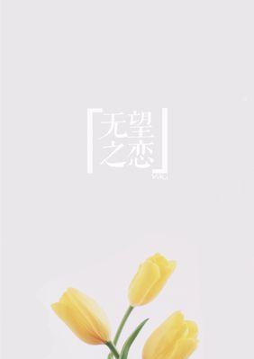 北京夏菊花语——盛夏中的灵魂之花（探寻夏菊花语的深意）