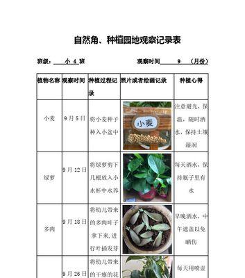 小苍兰种球的保存和种植技巧（保存注意事项）