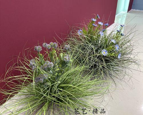 探秘小草的生态特性与分类（从植物学角度解析小草的生存之道）