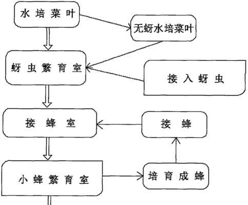 小麦病虫害防治技术和方法措施（保障小麦产量和质量的关键措施）