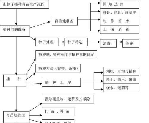 如何种植除虫菊种子（养护技巧）