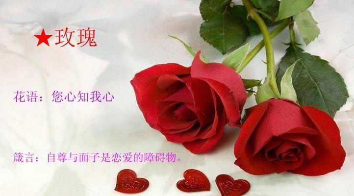 21朵玫瑰代表什么意思？21朵玫瑰花语有哪些含义？