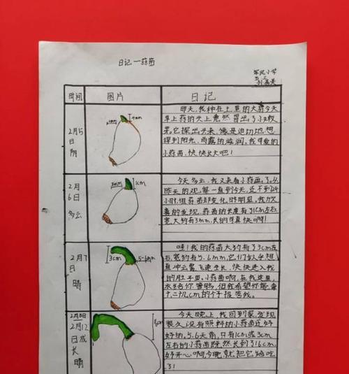 假龙头什么时候种植最合适？种植方法有哪些？