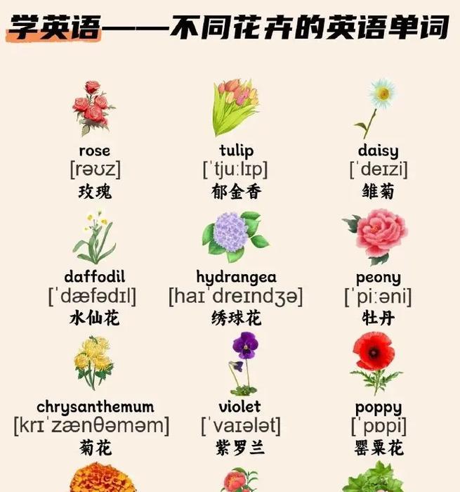 花卉指包括哪些种类？它们的花语分别是什么？