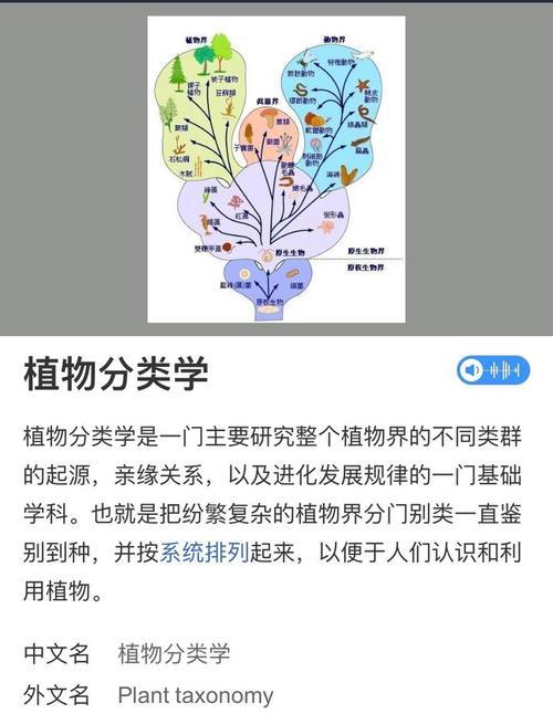 植物的物怎么读？它们的正确发音是什么？