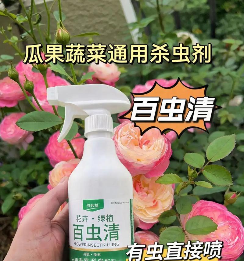 花卉除虫喷剂药有哪些？如何正确使用？