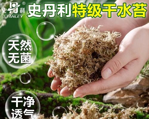 水苔养花卉有哪些特别要求？